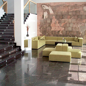 mystone_boton_gobra_09